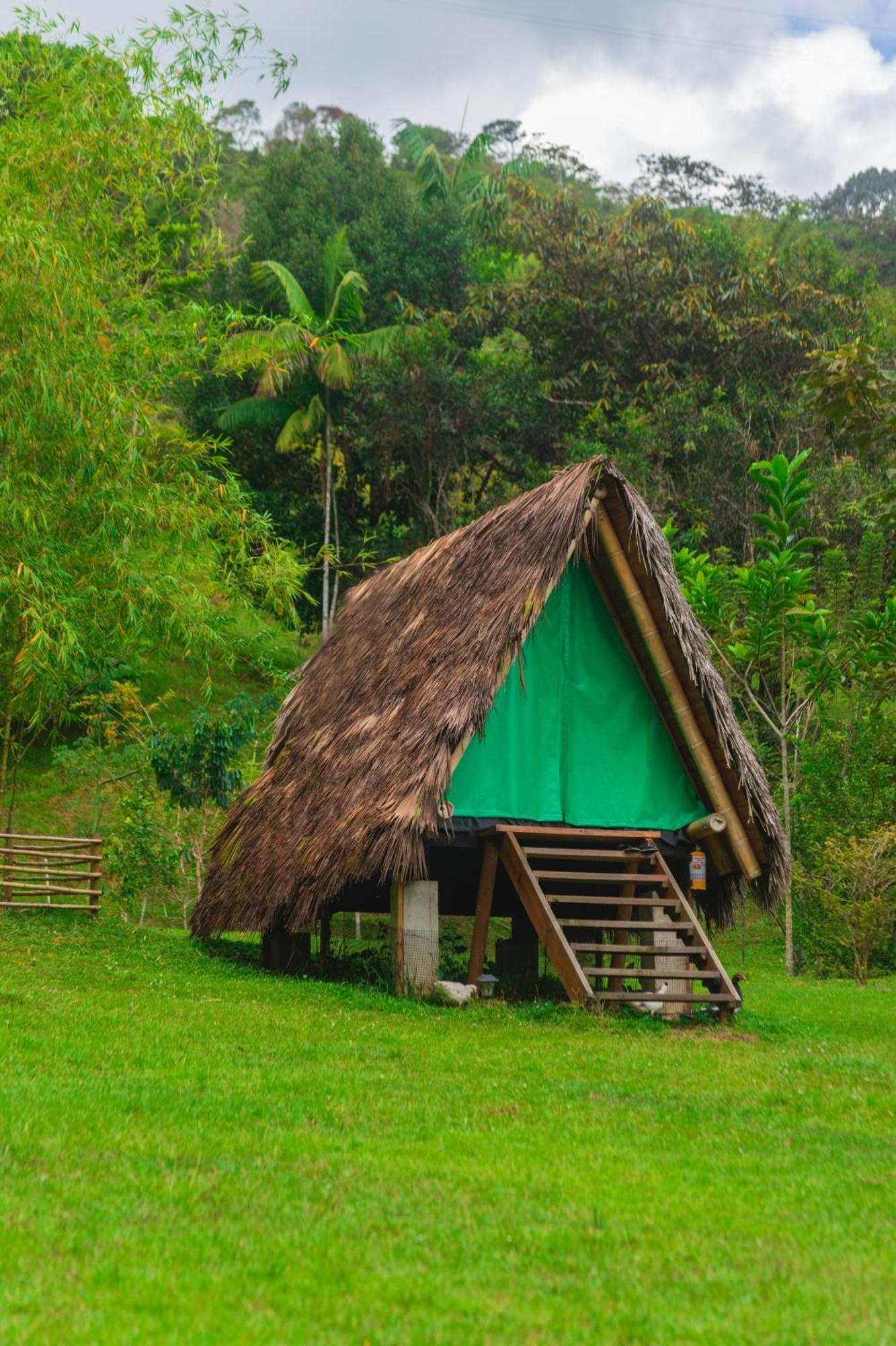 La Perla Negra - Black Pearl Eco Hostel San Rafael  Exterior photo